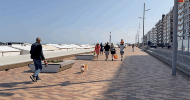 Wenduine | Strand / Kusttram et Beach Belge | Belgique Bretagne Télé