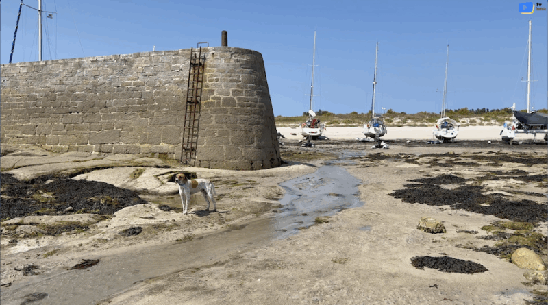 Île de Hoëdic | Port de la Croix basse marée | Île de Hoëdic