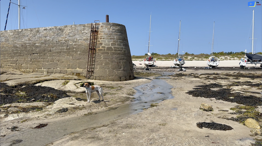 Île de Hoëdic | Port de la Croix basse marée | Île de Hoëdic