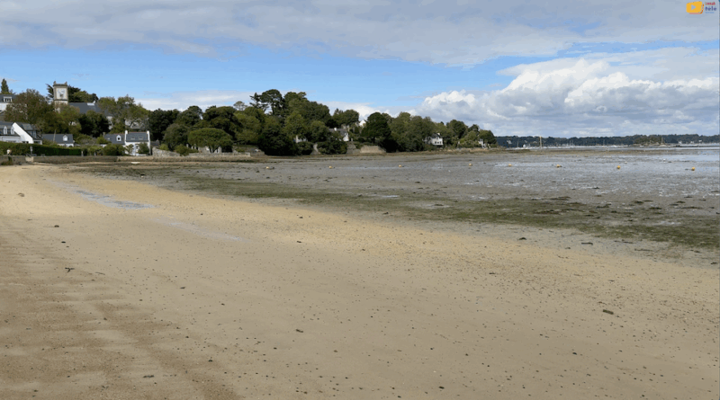 Île-aux-moines | Plage de Port Miquel | Izenah Télé
