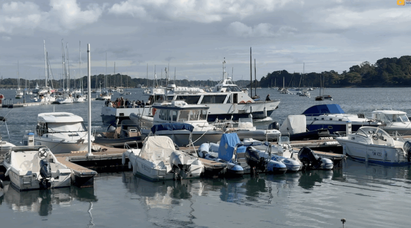 Île-aux-Moines | La Vie du Port | Izenah Télé