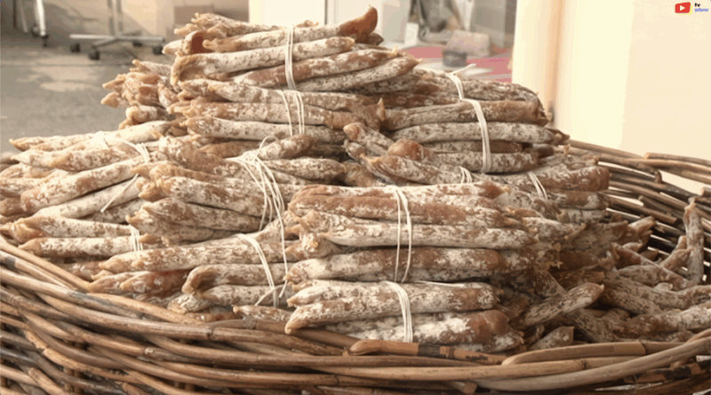 Quiberon | Il Vend "La Bistouquette" Foire du Bourg 2012 | TV Quiberon 24/7