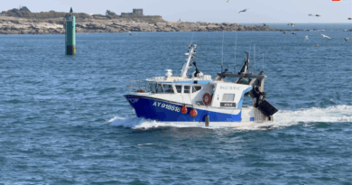 Quiberon | Port Maria, Ferry et Chalutiers | TV Quiberon 24/7