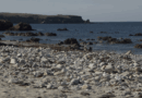 Saint-Pierre Quiberon | Soleil d'Automne | TV Quiberon 24/7