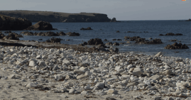 Saint-Pierre Quiberon | Soleil d'Automne | TV Quiberon 24/7