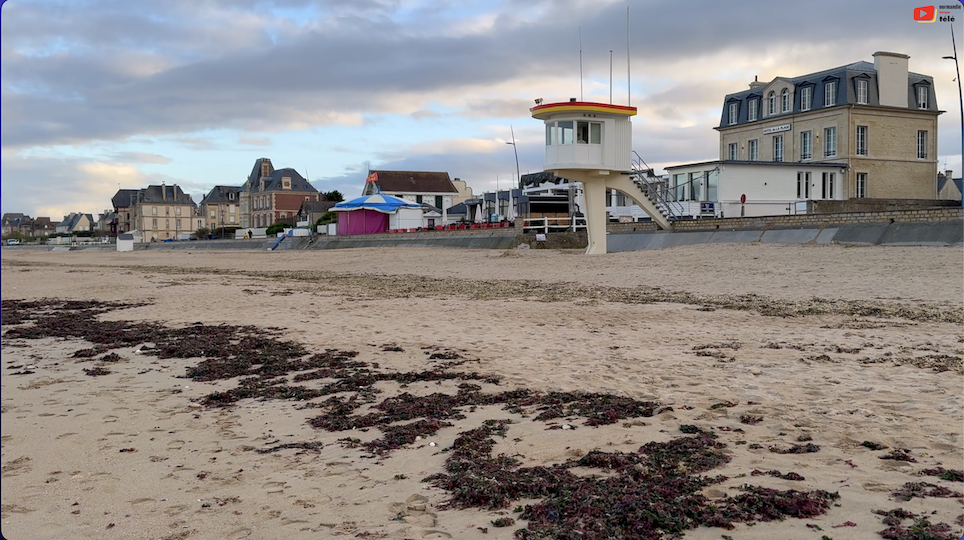 Sitemapcdatahttpsshopinf Inetcomdeces Lion Sur Mer