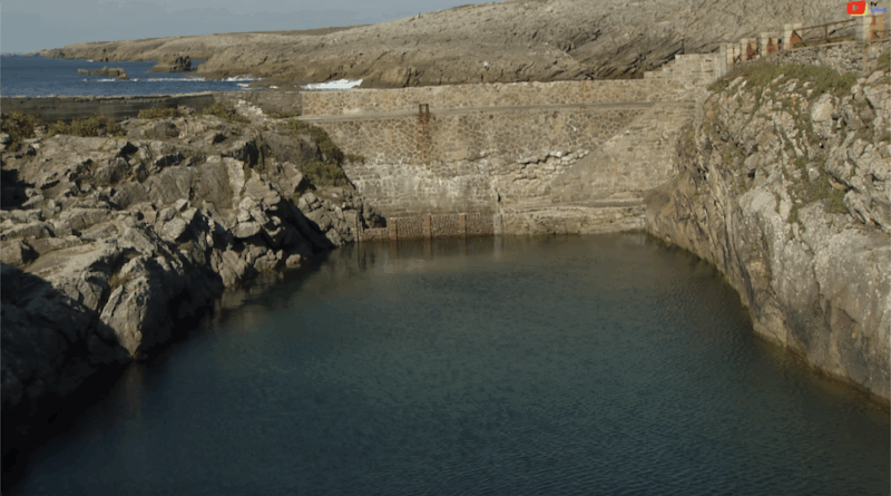 Quiberon | Le Vivier Sauvage de la Côte | TV Quiberon 24/7