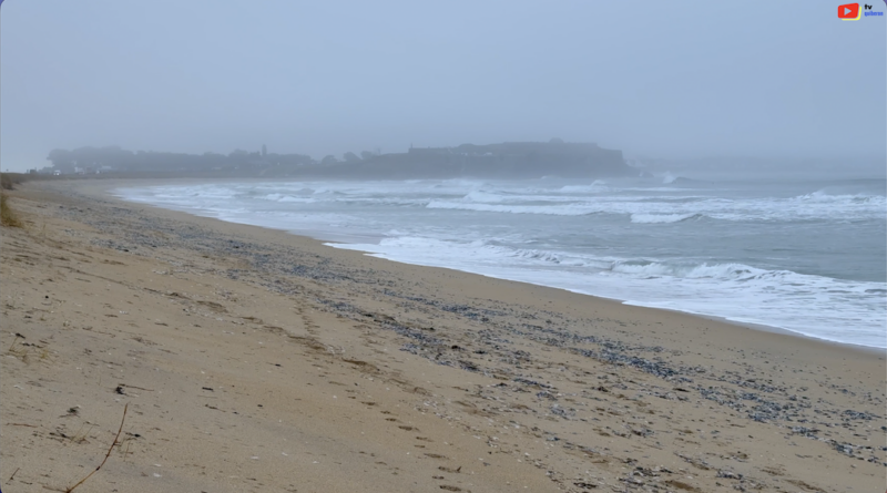 Saint-Pierre Quiberon | Penthièvre Brume Mystique | TV Quiberon 24/7