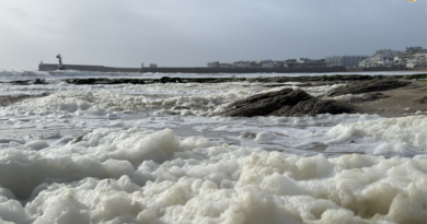 Quiberon | Violente Tempête Ingrid | TV Quiberon 24/7