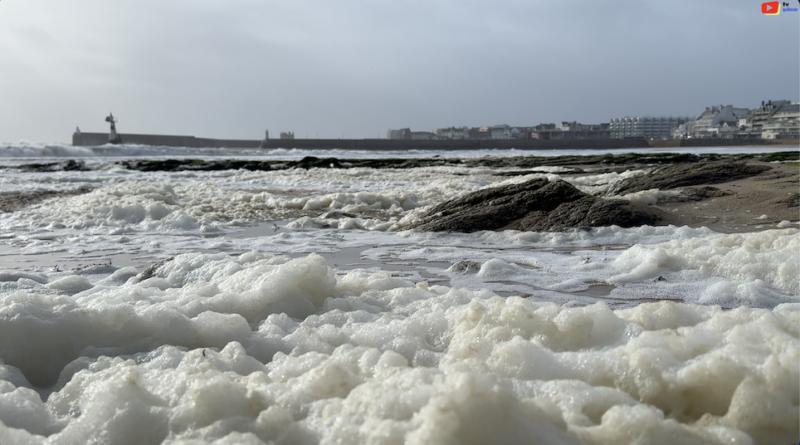 Quiberon | Violente Tempête Ingrid | TV Quiberon 24/7