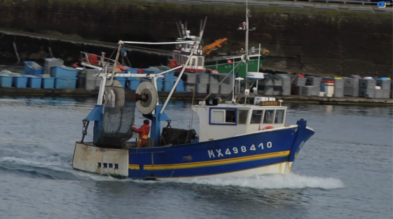 Brest | Le port de pêche | Brest Bretagne Télé