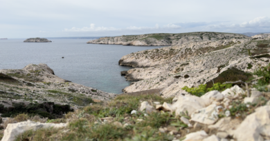 Marseille | Calanques et Port du Frioul | Marseille Bretagne Télé