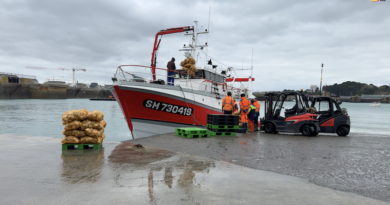 Saint-Malo | Pêche Coquille Saint-Jacques | Saint-Malo Bretagne Télé