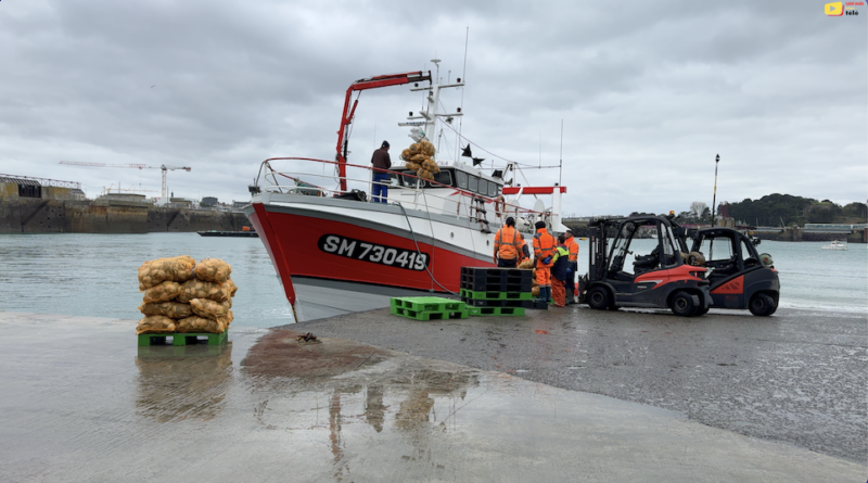 Saint-Malo | Pêche Coquille Saint-Jacques | Saint-Malo Bretagne Télé