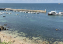 Île de Houat | Le Ferry 'Melvan' au Port | Île de Houat TV