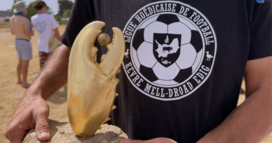 Île de Hoëdic | Foot au Parc des Pinces | Île de Hoëdic TV