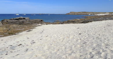 Île de Hoëdic | Cette Plage est Irréelle | Île de Hoëdic TV