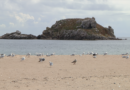Île de Houat | Le Paradis Breton en Été | Île de Houat TV