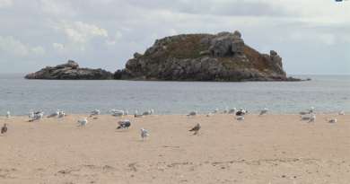 Île de Houat | Le Paradis Breton en Été | Île de Houat TV
