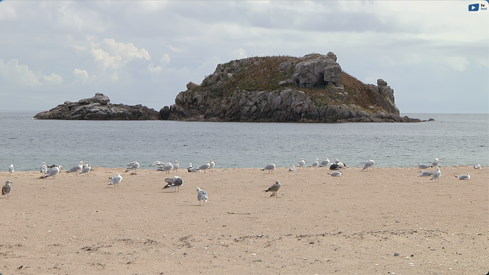 Île de Houat | Le Paradis Breton en Été | Île de Houat TV