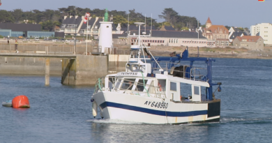 Quiberon | Trésors Cachés de Port Maria | TV Quiberon 24/7