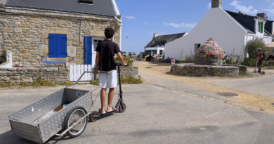 Île de Hoëdic | Dimanche d'Août au Bourg | Île de Hoëdic TV