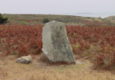 Île de Houat | Menhirs sous le Crachin Breton | Île de Houat TV