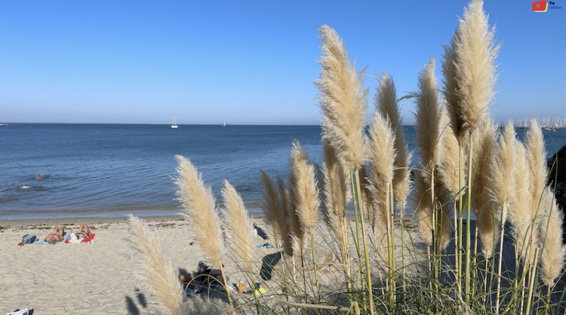 Quiberon | Automne Estival: Le Paradis Secret | TV Quiberon 24/7Quiberon / Bretagne. L'été indien s'installe sur la presqu'île de Quiberon. Alors que les juilletistes et les aoûtiens ont déserté le Morbihan, la Bretagne Sud dévoile son plus beau visage. Températures douces, lumière dorée et plages désertes : découvrez pourquoi vous devez absolument visiter Quiberon en automne.