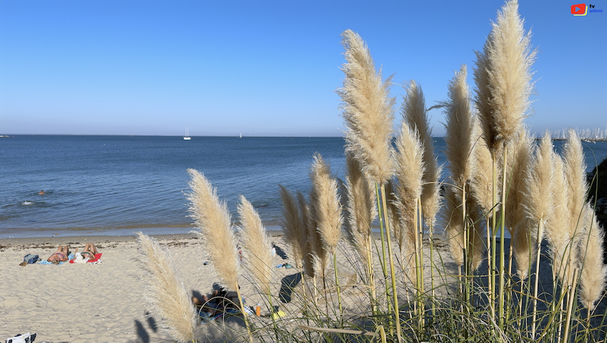 Quiberon | Automne Estival: Le Paradis Secret | TV Quiberon 24/7Quiberon / Bretagne. L'été indien s'installe sur la presqu'île de Quiberon. Alors que les juilletistes et les aoûtiens ont déserté le Morbihan, la Bretagne Sud dévoile son plus beau visage. Températures douces, lumière dorée et plages désertes : découvrez pourquoi vous devez absolument visiter Quiberon en automne.